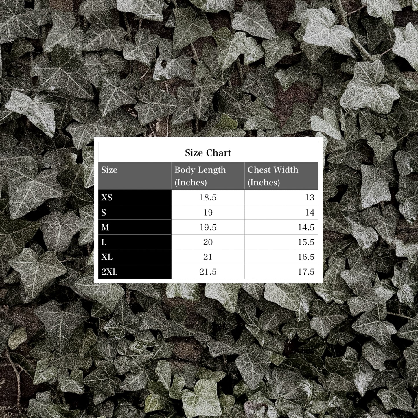 Wizard Pigeon Printed Baby Tee