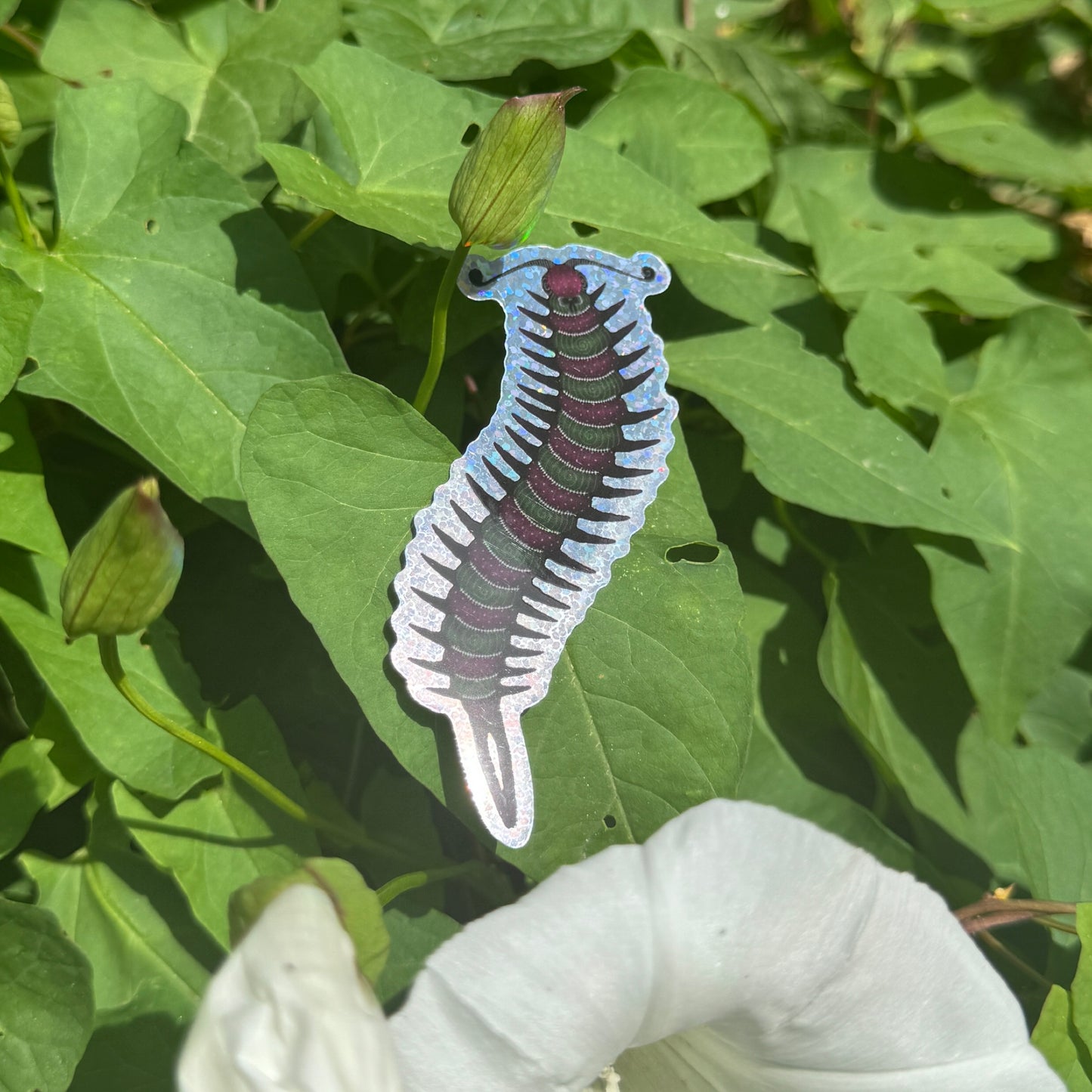 Whimsy~Bug Stickers